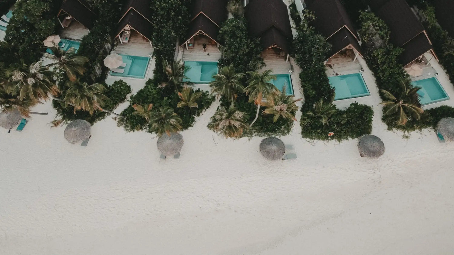 Luftaufnahme von Villen am Strand mit privaten Pools, umgeben von Palmen und Grün, mit Blick auf einen weißen Sandstrand mit schattigen Lounge-Bereichen und das türkisfarbene Meer außerhalb des Bildes.