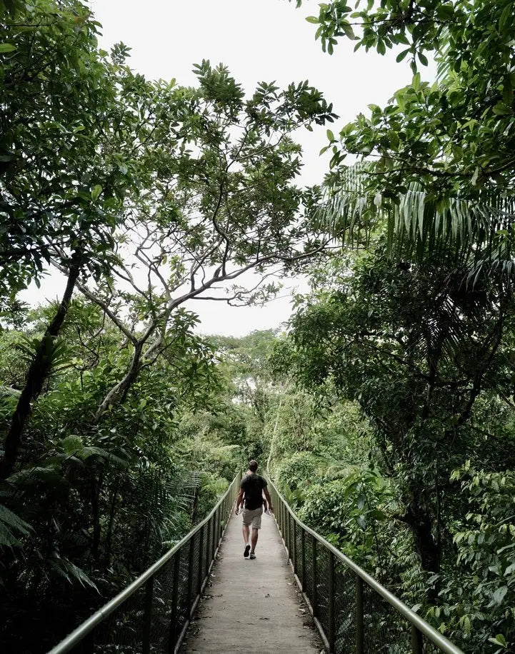 PURA VIDA IN COSTA RICA MIT KIND