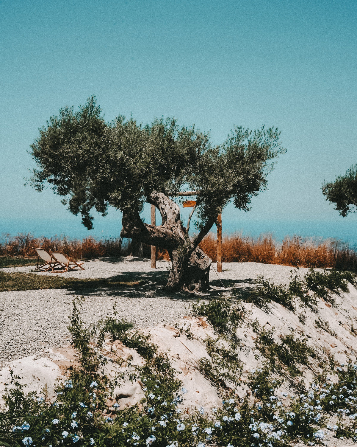 Maremita Villas – Handverlesene Familienvillen in Italien