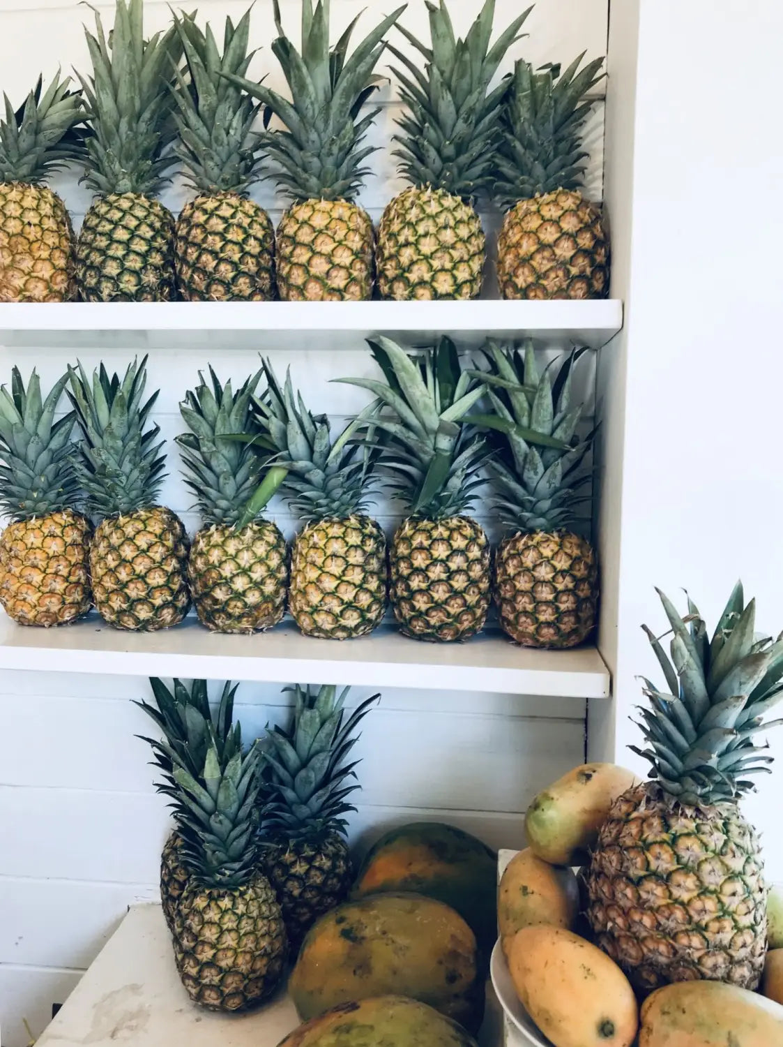 SURFEN IN DER DOMINIKANISCHEN REPUBLIK