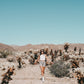AutoCamp Joshua Tree: Im Airstream unter dem Wüstenhimmel – stilvolle, familienfreundliche Reise mit Kindern