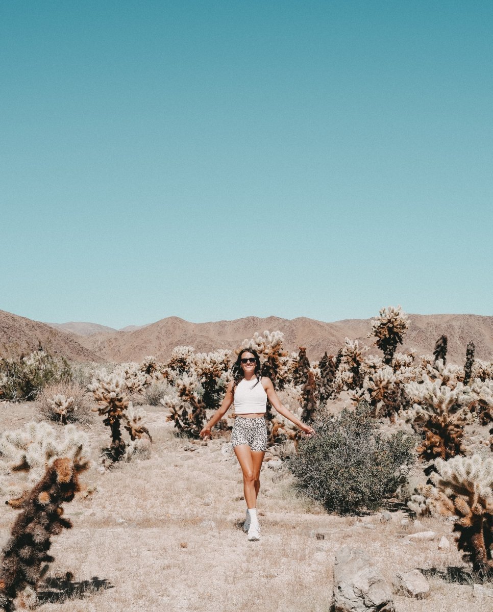 AutoCamp Joshua Tree: Im Airstream unter dem Wüstenhimmel – stilvolle, familienfreundliche Reise mit Kindern