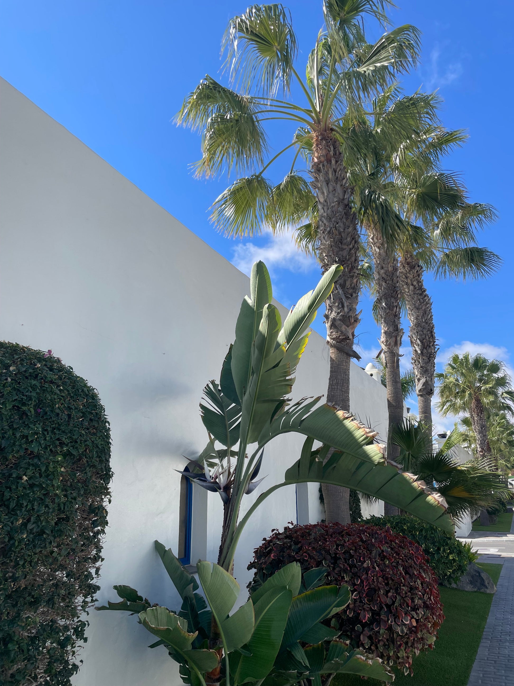 Bahiazul Fuerteventura: Familien Apartments für bis zu 3 Genrationen