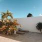 Boutique Surf Hotel in Nicaragua für Familien - das Hide and Seek Popoyo – stilvolle, familienfreundliche Reise mit Kindern