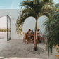 Boutique Surf Hotel in Nicaragua für Familien - das Hide and Seek Popoyo – stilvolle, familienfreundliche Reise mit Kindern