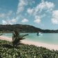 Canopy by Hilton Mahé mit Kindern: Familienresort als perfekter Abschluss der Seychellen-Reise – stilvolle, familienfreundliche Reise mit Kindern