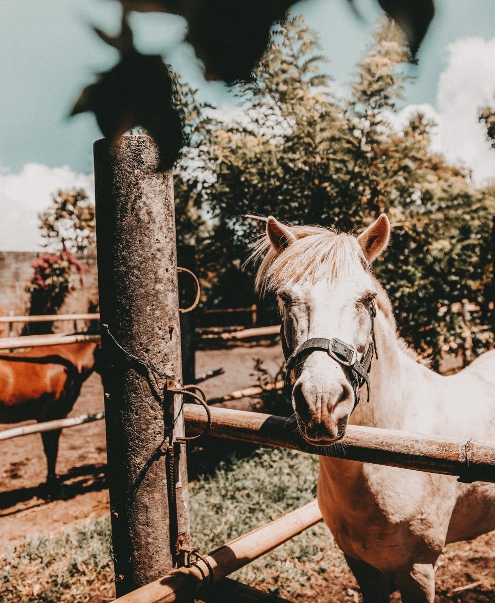 Das authentische Bali fernab der Touristenmassen: Munduk Moding Plantation – stilvolle, familienfreundliche Reise mit Kindern