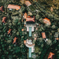 Das authentische Bali fernab der Touristenmassen: Munduk Moding Plantation – stilvolle, familienfreundliche Reise mit Kindern