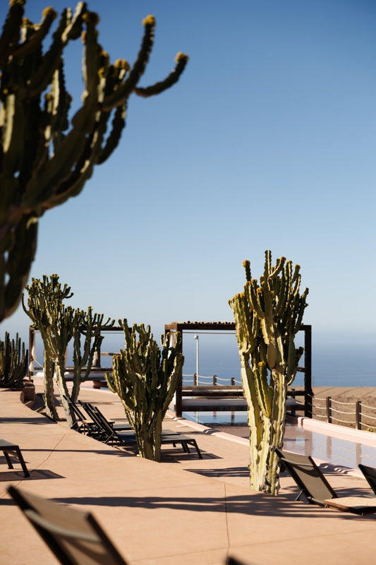 Das Salobre Hotel: Gran Canaria mit Kindern abseits der Bettenburgen – stilvolle, familienfreundliche Reise mit Kindern