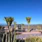 Das Salobre Hotel: Gran Canaria mit Kindern abseits der Bettenburgen