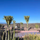 Das Salobre Hotel: Gran Canaria mit Kindern abseits der Bettenburgen – stilvolle, familienfreundliche Reise mit Kindern