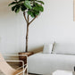 Design Familien - Apartment am Meer: Etoile31 in Egmond aan Zee – stilvolle, familienfreundliche Reise mit Kindern
