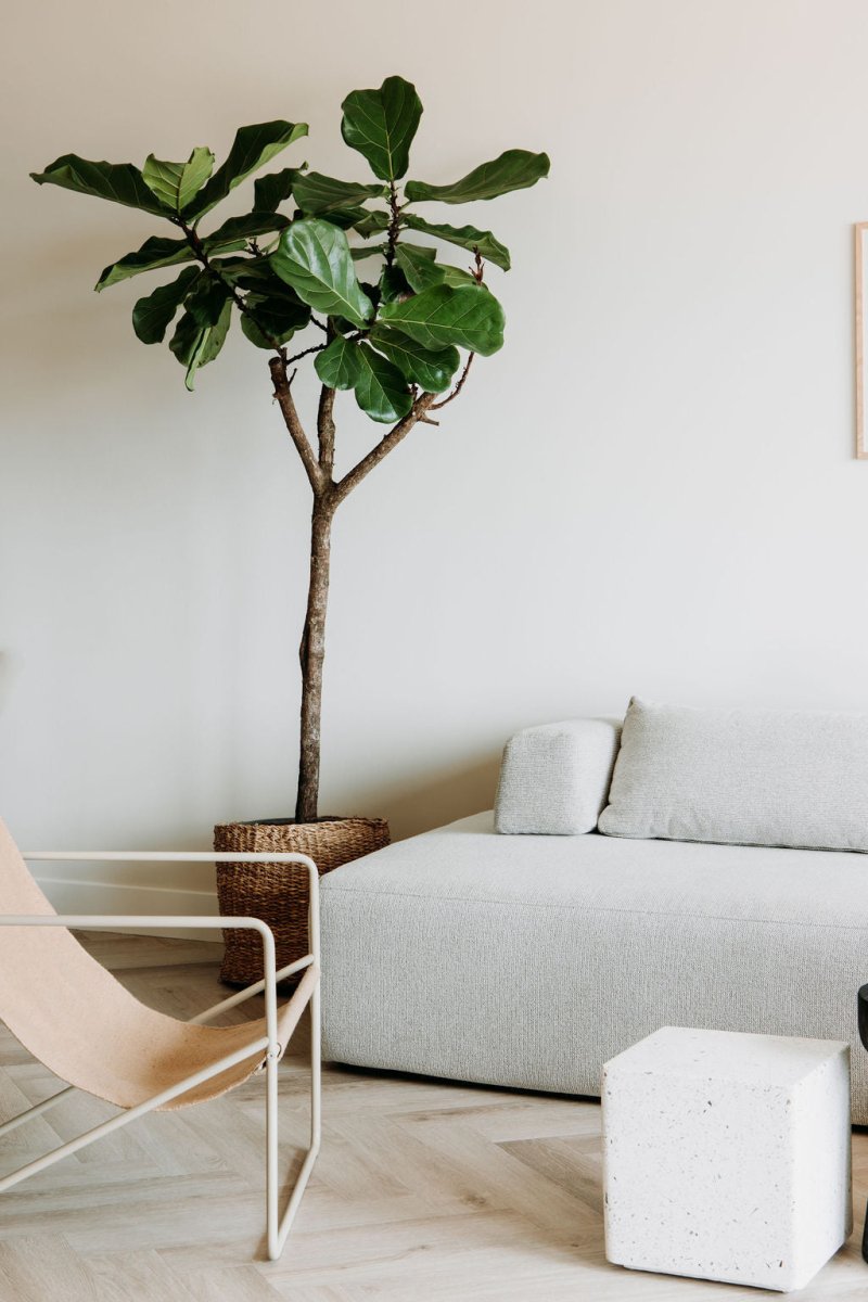 Design Familien - Apartment am Meer: Etoile31 in Egmond aan Zee – stilvolle, familienfreundliche Reise mit Kindern