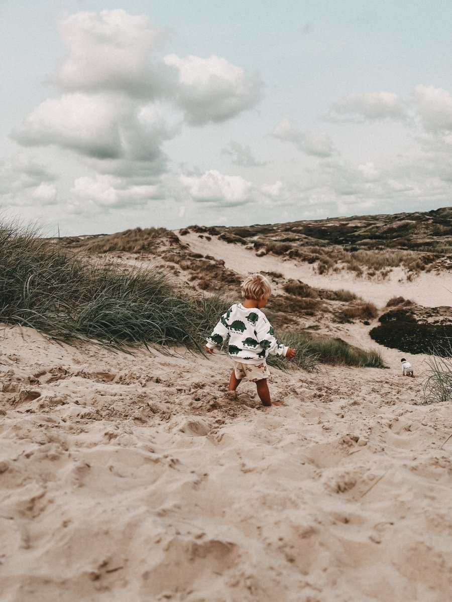 Design Familien - Apartment am Meer: Etoile31 in Egmond aan Zee – stilvolle, familienfreundliche Reise mit Kindern