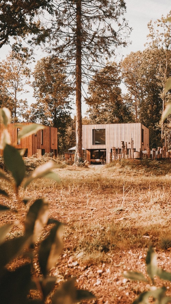 Design Hideaway oder Ferienhaus in Holland: Dutchen ist für Familien mit Stil – stilvolle, familienfreundliche Reise mit Kindern