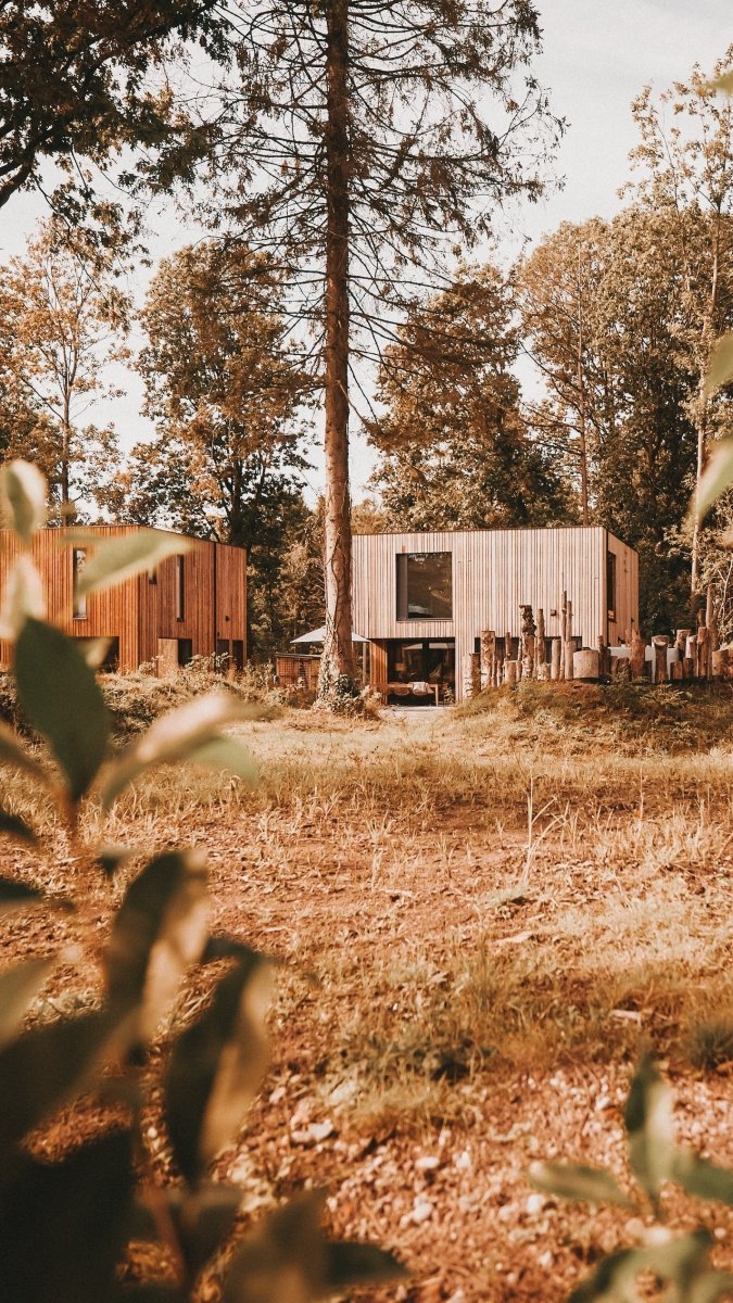 Design Hideaway oder Ferienhaus in Holland: Dutchen ist für Familien mit Stil – stilvolle, familienfreundliche Reise mit Kindern