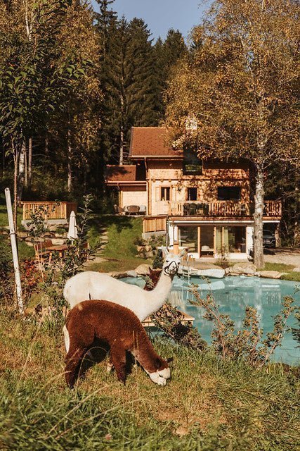 Familienurlaub am Landgut Moserhof – Natur, Tiere und echtes Landleben in Kärnten – stilvolle, familienfreundliche Reise mit Kindern