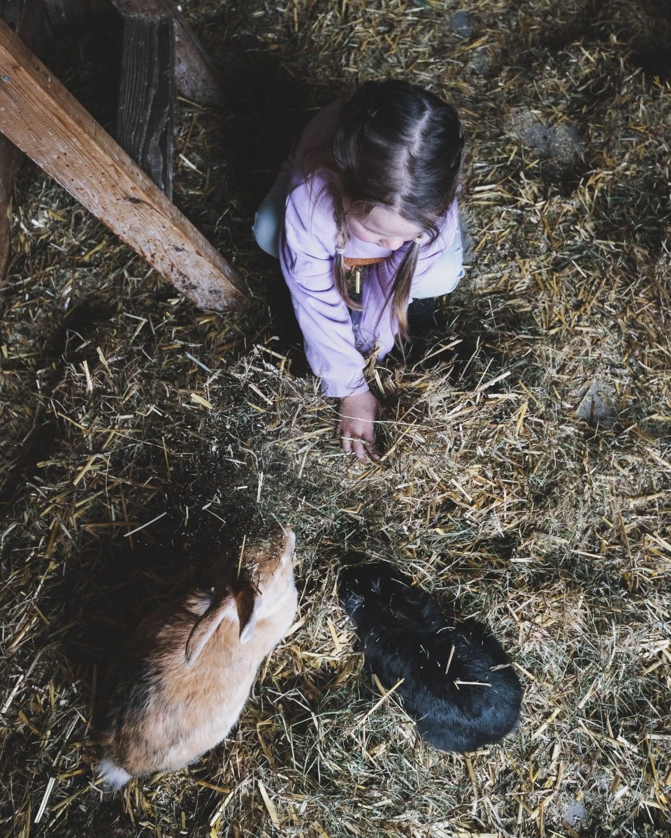 Familienurlaub im Ellmauhof – Ein Paradies für Groß & Klein im Herzen der Alpen – stilvolle, familienfreundliche Reise mit Kindern