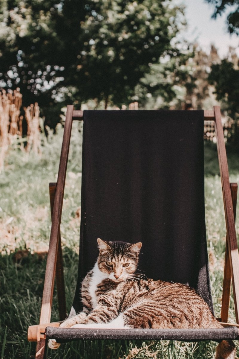 Familienurlaub in Brandenburg: Altes Kutscherhaus – Einzigartiges Ferienhaus mit Charme & Natur – stilvolle, familienfreundliche Reise mit Kindern