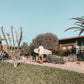 Family Surfvibes in Marokko: Radisson Blu Taghazout Bay mit Kids – stilvolle, familienfreundliche Reise mit Kindern