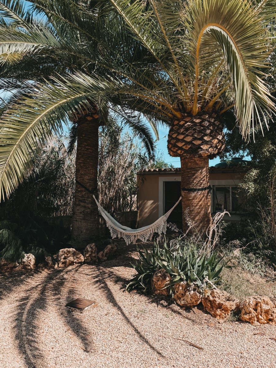 Finca MICA auf Mallorca: Finca Urlaub mit Kindern im echten Süden der Insel – stilvolle, familienfreundliche Reise mit Kindern