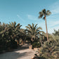 Finca MICA auf Mallorca: Finca Urlaub mit Kindern im echten Süden der Insel – stilvolle, familienfreundliche Reise mit Kindern