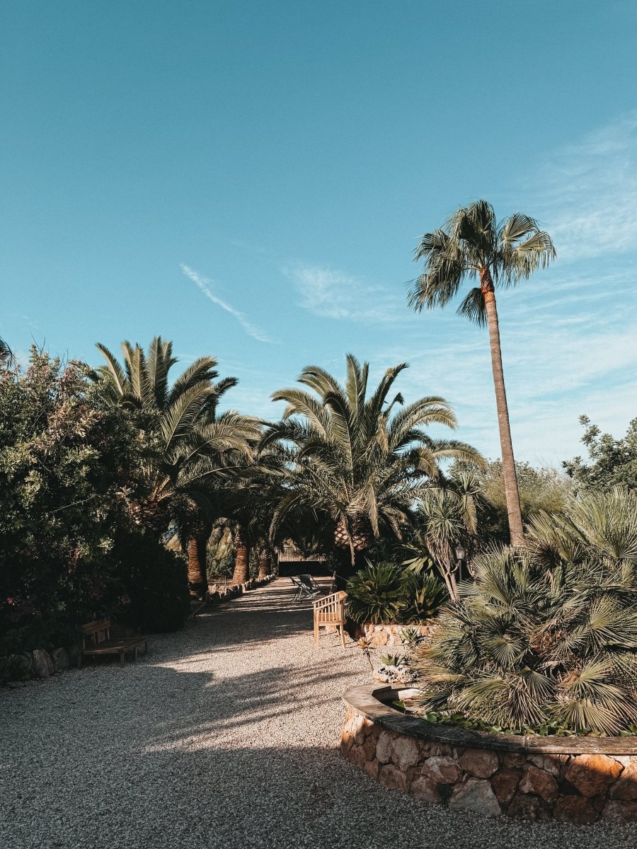 Finca MICA auf Mallorca: Finca Urlaub mit Kindern im echten Süden der Insel – stilvolle, familienfreundliche Reise mit Kindern