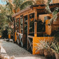 Karibik mit Kind - Jan Kok Lodges in Curaçao – stilvolle, familienfreundliche Reise mit Kindern