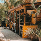 Karibik mit Kind - Jan Kok Lodges in Curaçao – stilvolle, familienfreundliche Reise mit Kindern