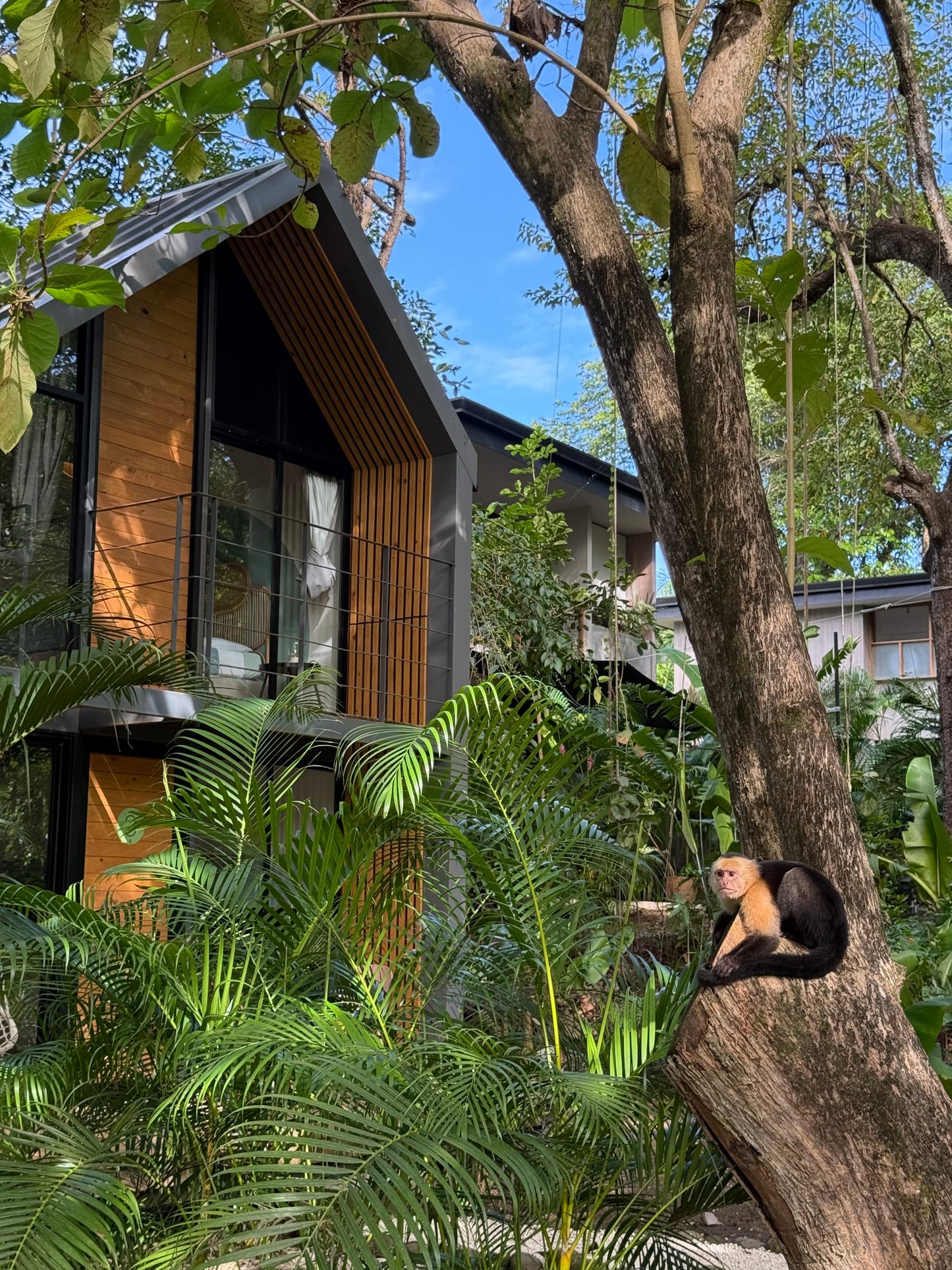 Little Escape in Santa Teresa mit Kind: Familiäre Casitas in Costa Rica