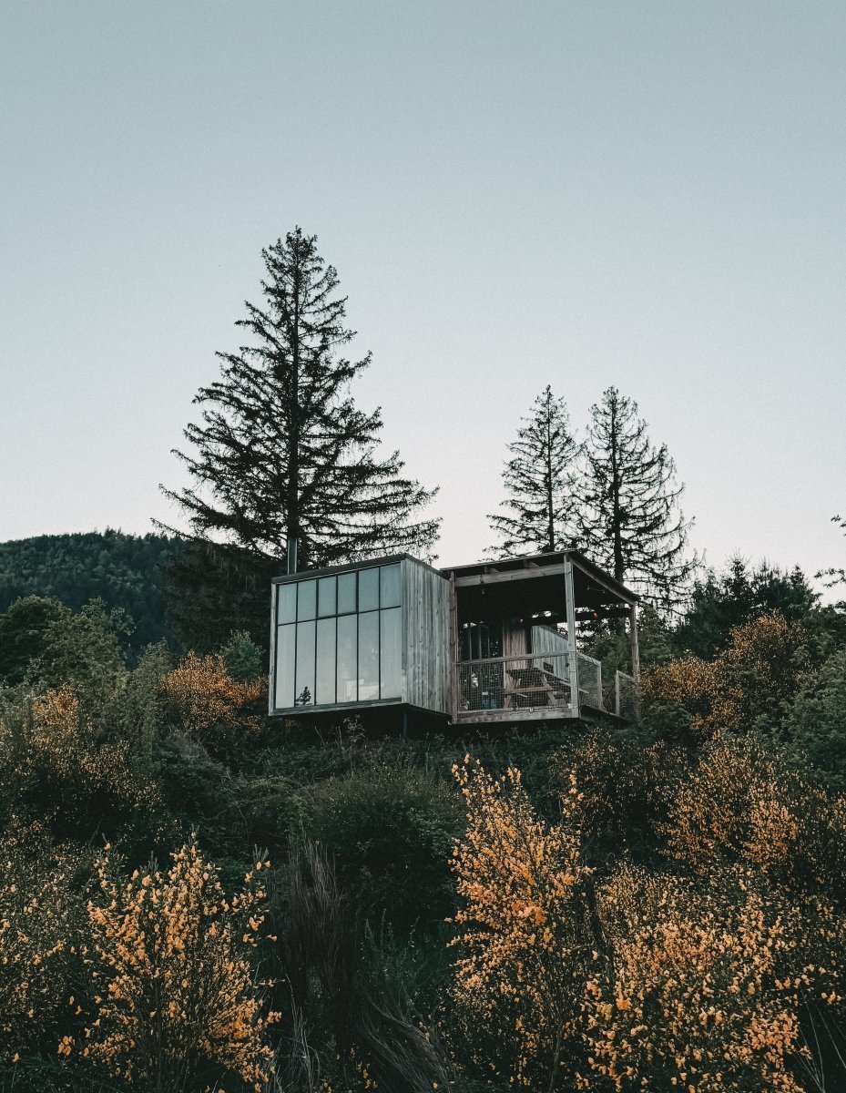 Nutchel im Elsass mit Kindern: Unser Waldabenteuer im Forest Village – stilvolle, familienfreundliche Reise mit Kindern