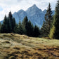 Oskar Stubai Apartments in Neustift: Unser neues Lieblingsdomizil im Stubaital – stilvolle, familienfreundliche Reise mit Kindern