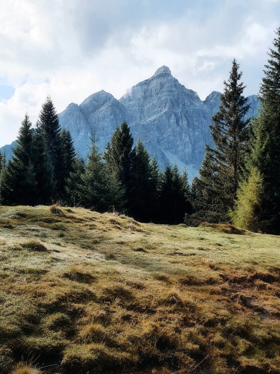 Oskar Stubai Apartments in Neustift: Unser neues Lieblingsdomizil im Stubaital – stilvolle, familienfreundliche Reise mit Kindern