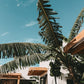 Po Popoyo - eine Traumvilla in Nicaragua mit Kindern – stilvolle, familienfreundliche Reise mit Kindern