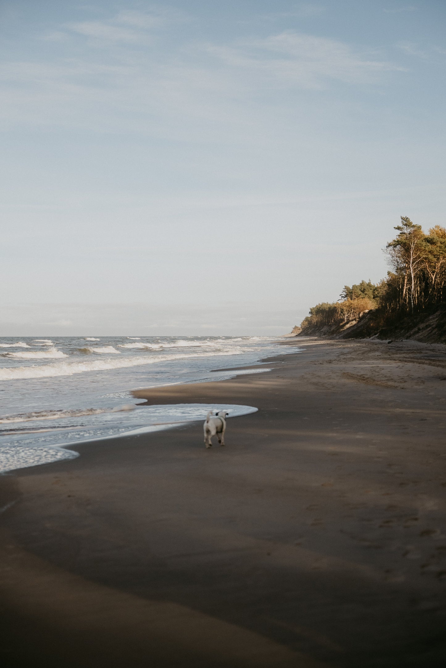 Przylądek Marzeń: Fünf Häuser und ein Geheimtipp an der Ostsee - Lieblingsunterkunft