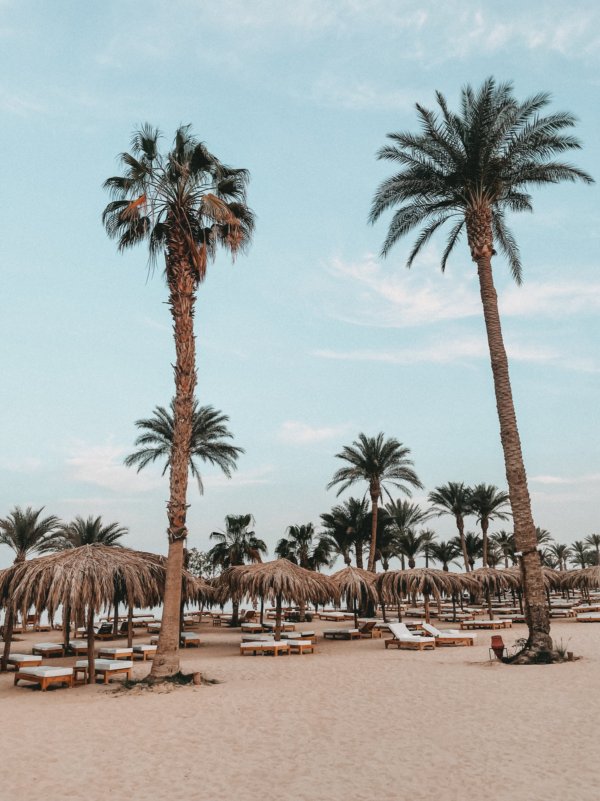 Serry Beach Resort Hurghada: ästhetisches Familienhotel in Ägypten