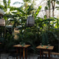 The Sunset Shack in Nosara mit Kind: Familienunterkunft in Costa Rica