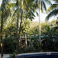 The Sunset Shack in Nosara mit Kind: Familienunterkunft in Costa Rica